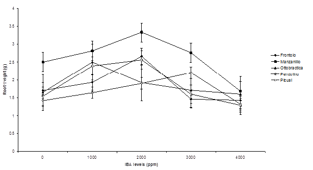 Figure 6: