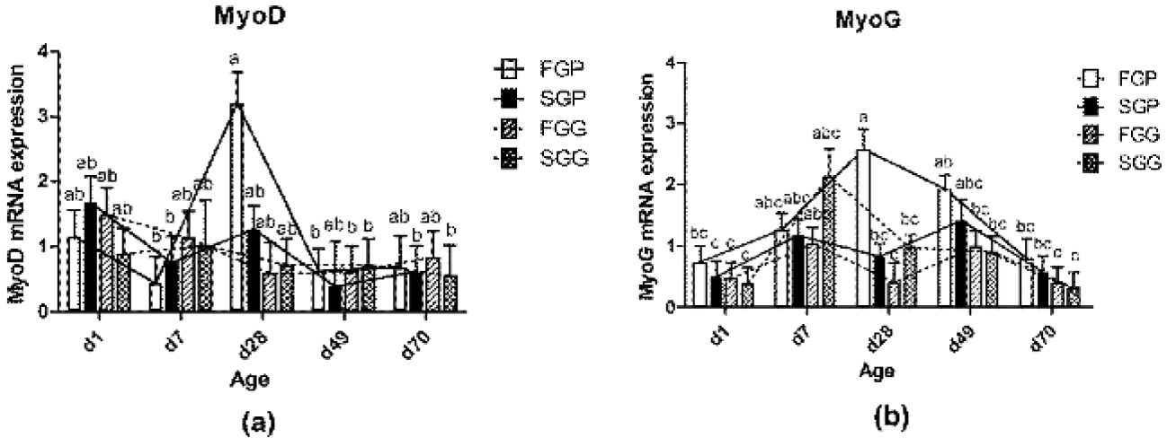 Fig. 9.