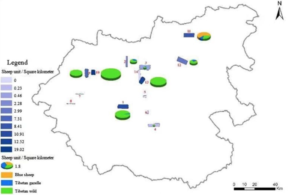 Fig. 7.