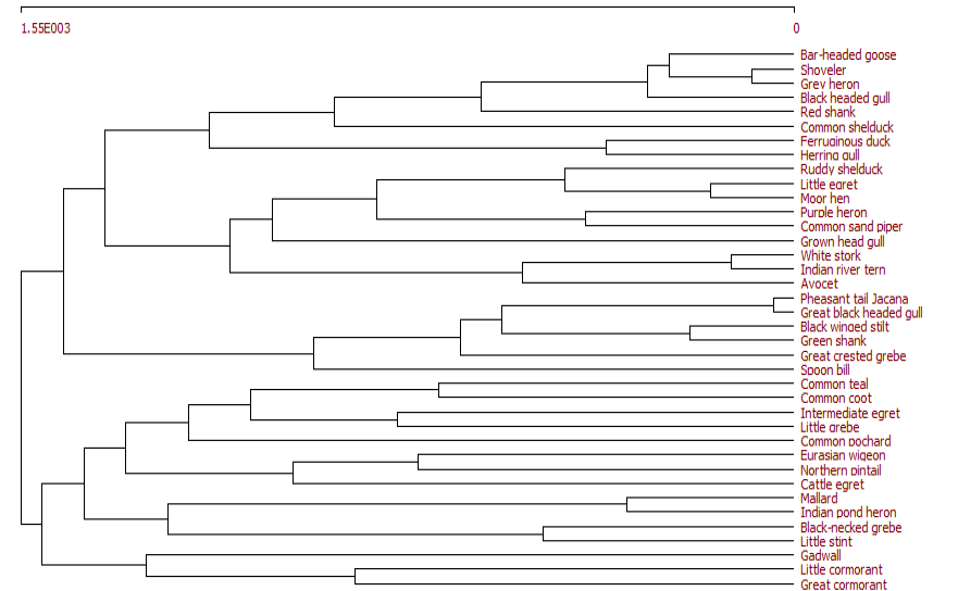 Figure 2: