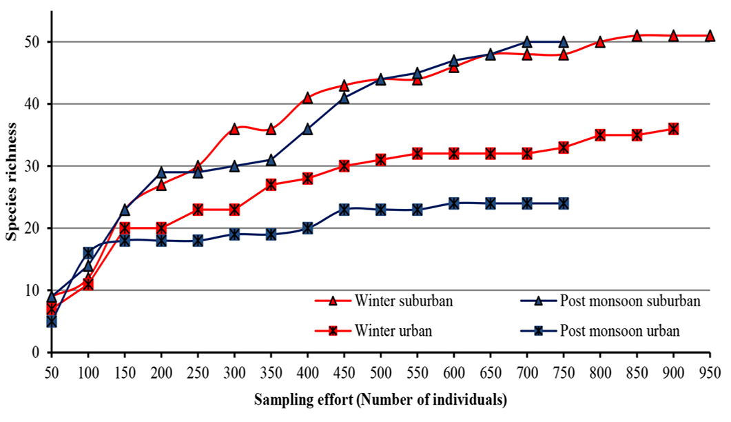 Figure 2: