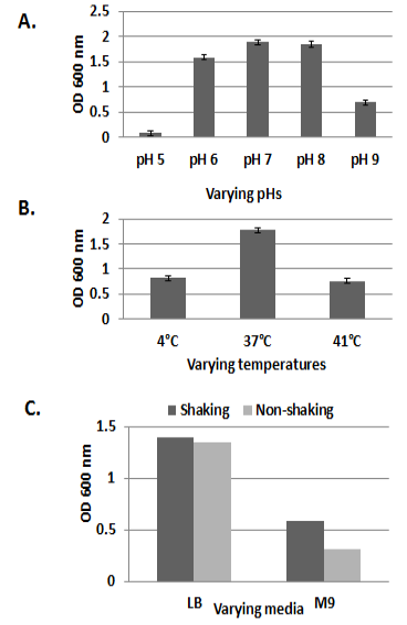Figure 2: