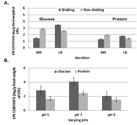 Figure 6: