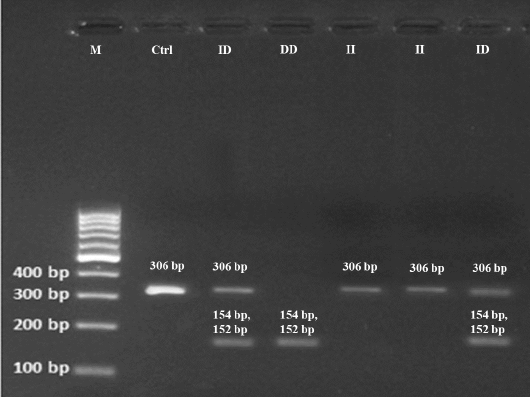 Figure 2: