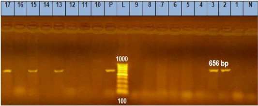 Figure 6