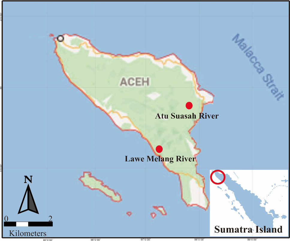 Fig. 1.
