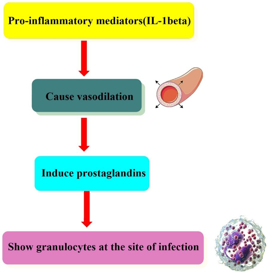 Figure 6: