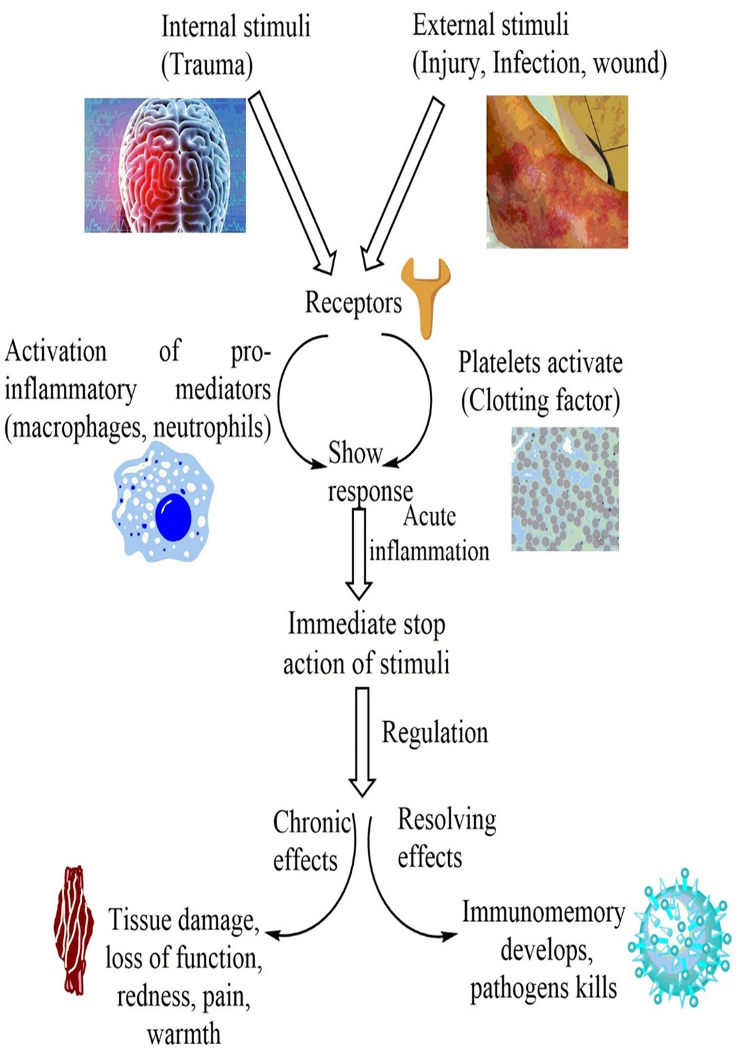 Figure 1: