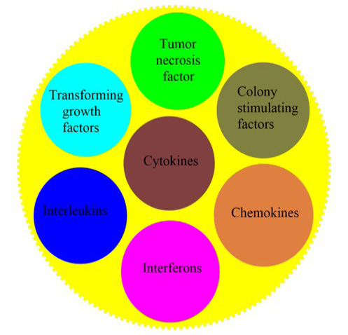 Figure 4: