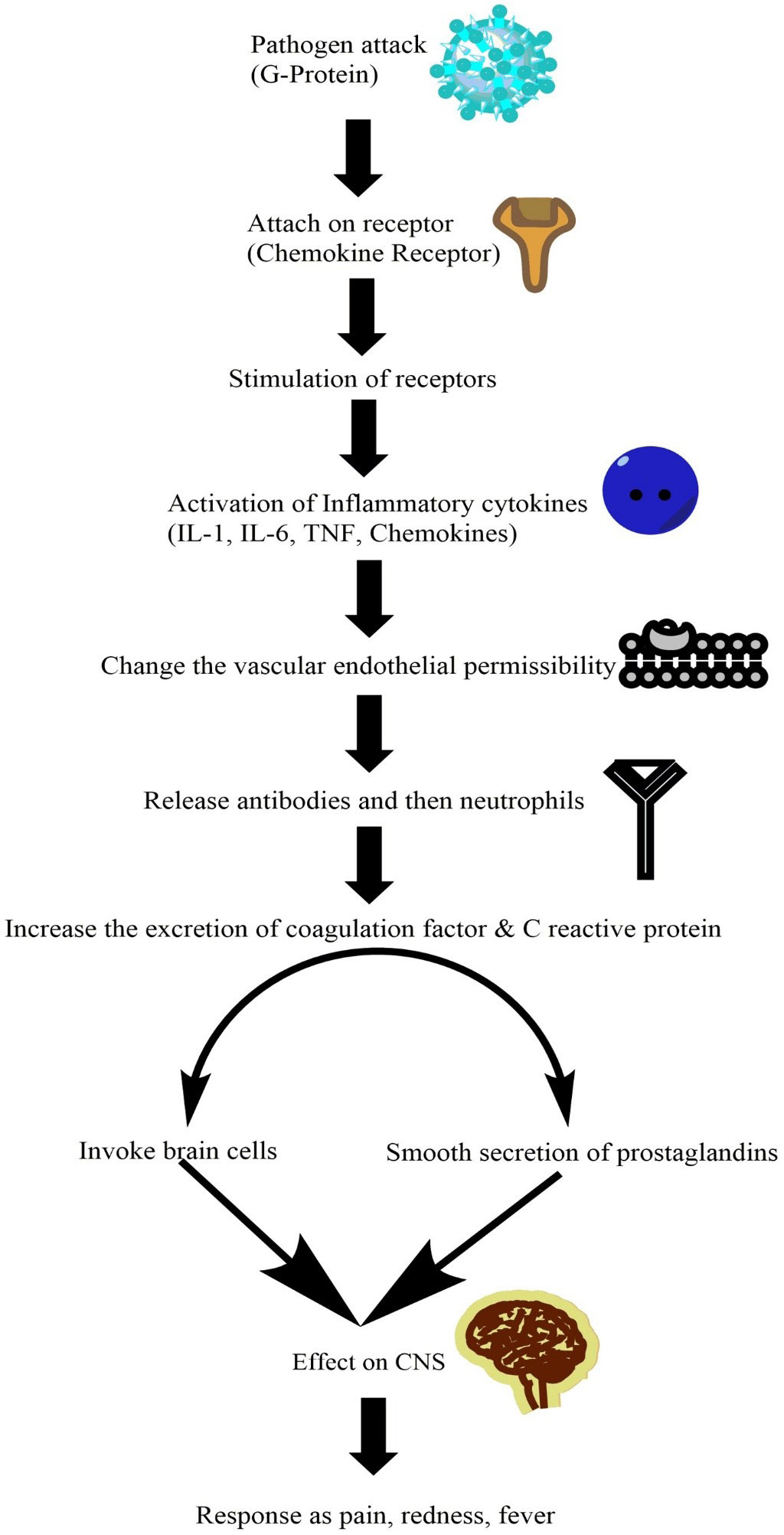 Figure 2: