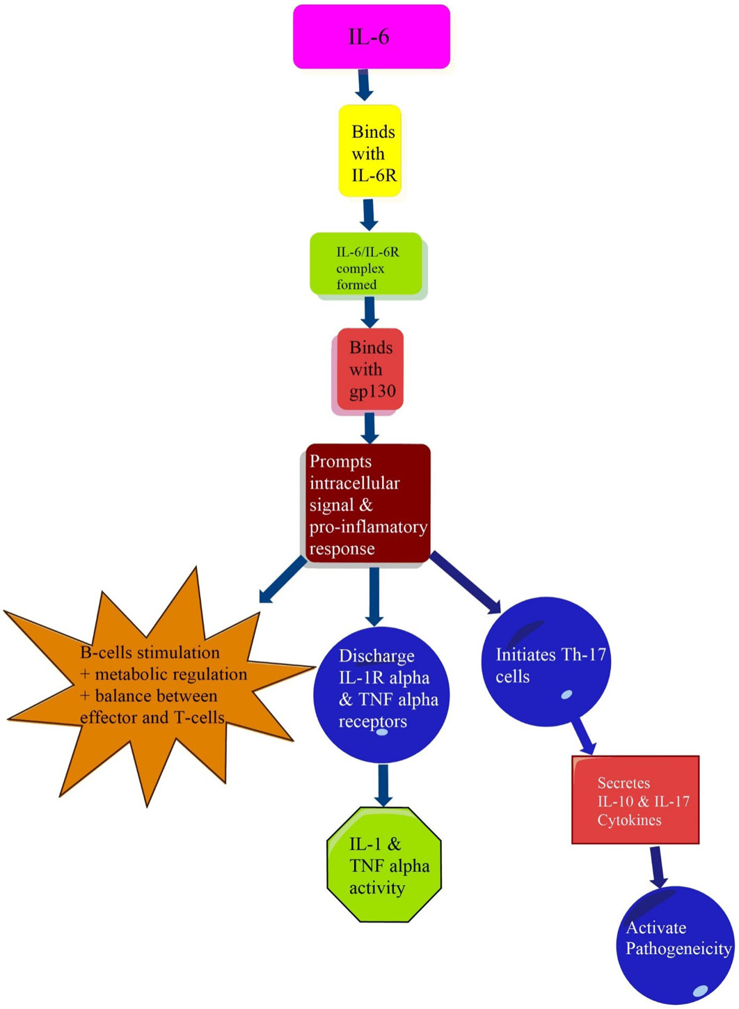 Figure 7: