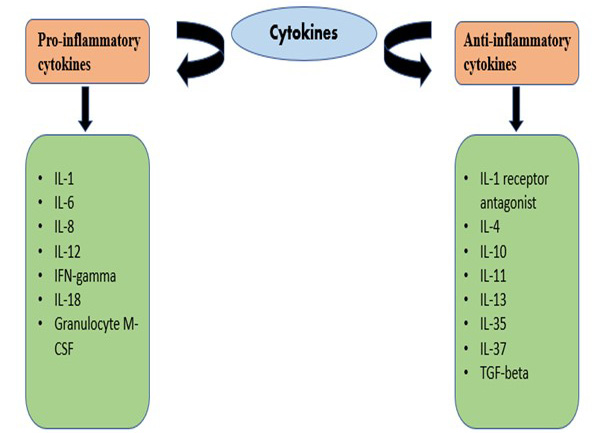 Figure 5: