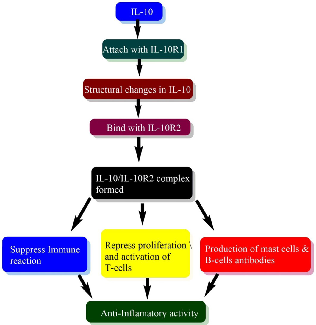 Figure 9:
