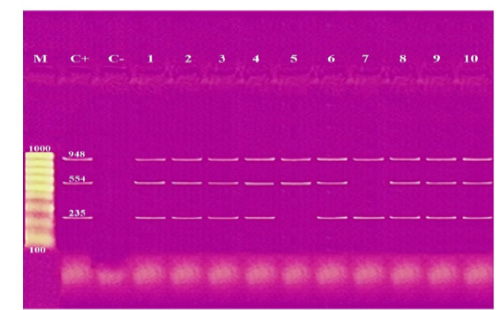 Figure 5