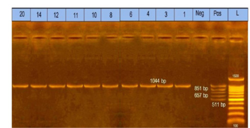 Figure 2