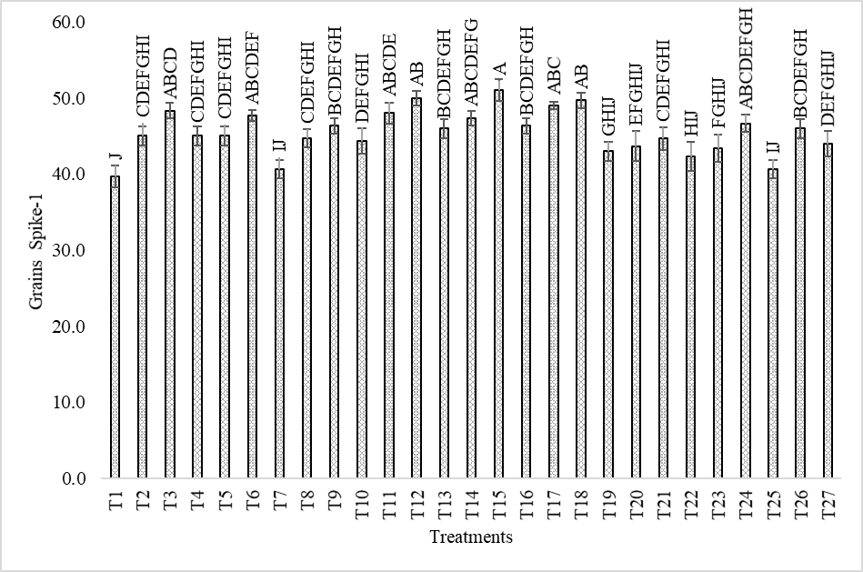 Figure 5: