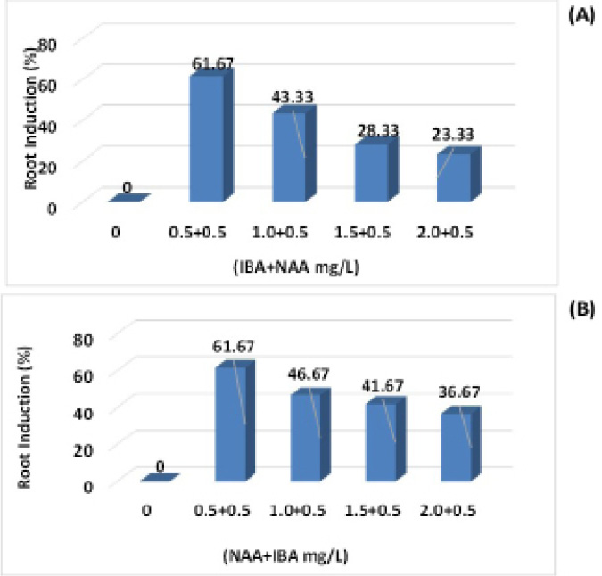 Figure 5: