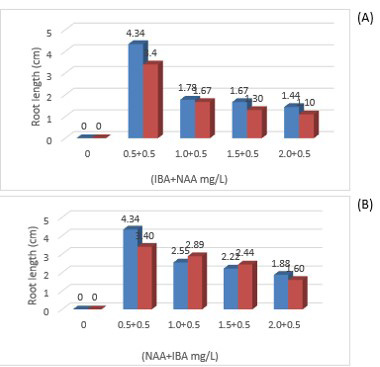 Figure 6:
