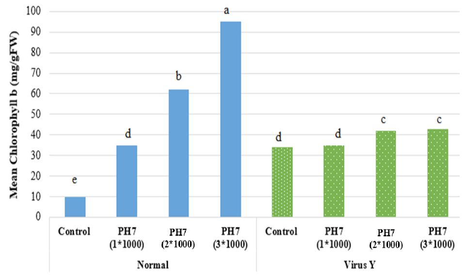 Figure 3:
