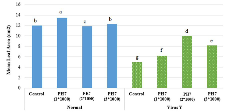 Figure 4: