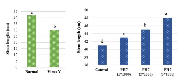 Figure 5: