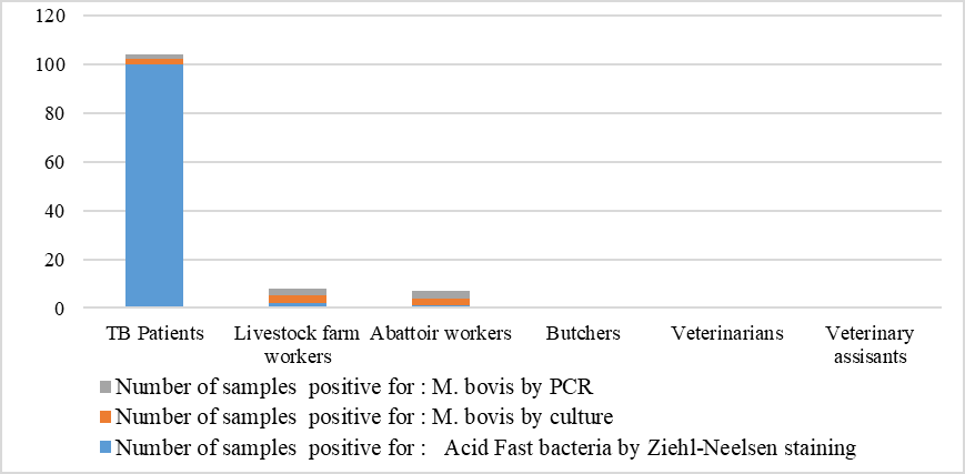 Figure 2: