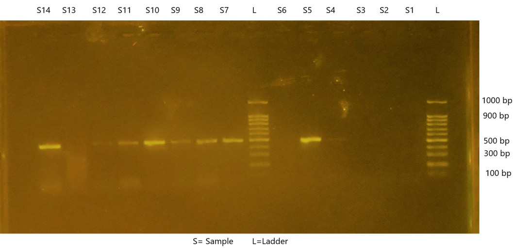 Figure 3: