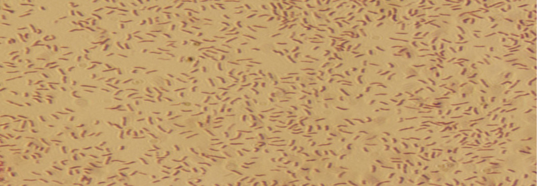 Figure 4: