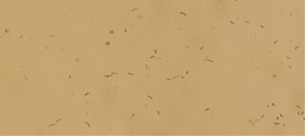 Figure 5: