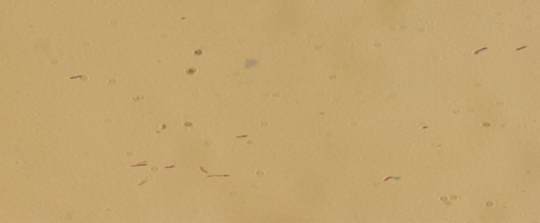 Figure 6:
