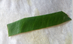 Figure 2: