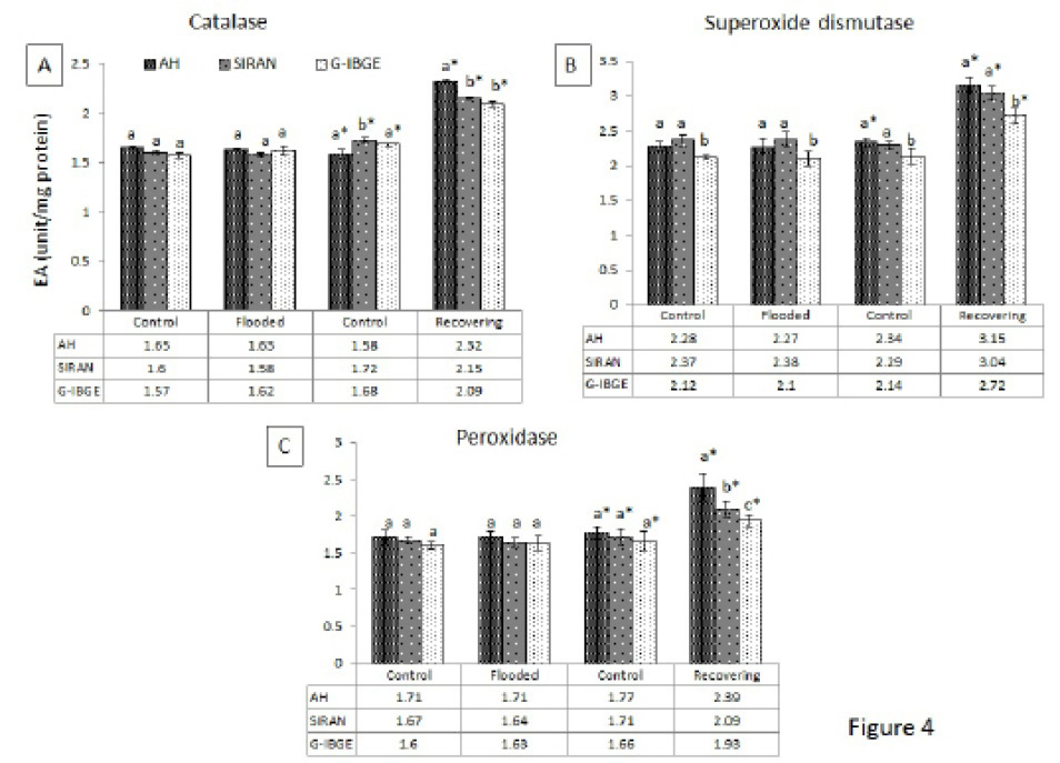 Figure 4: