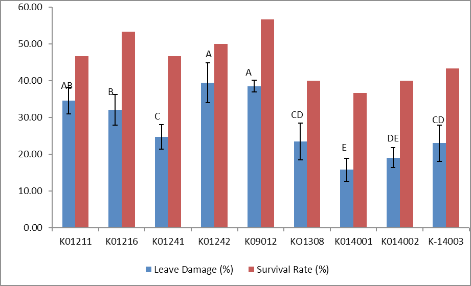 Figure 2: