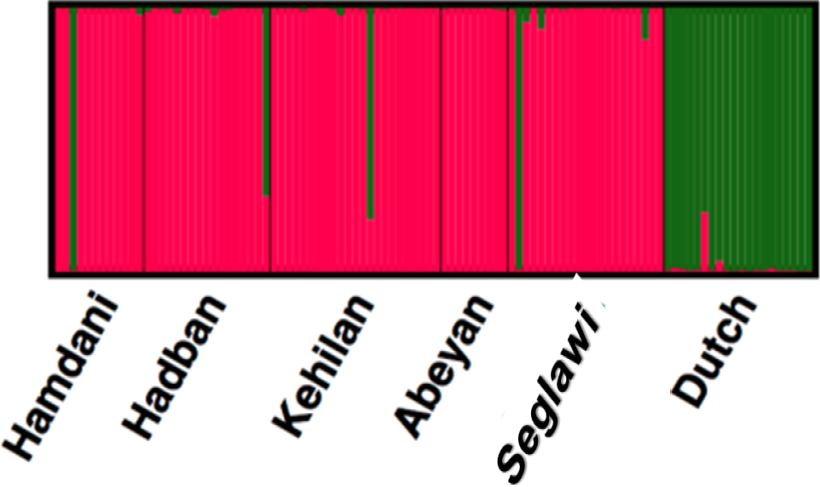 Fig. 5.