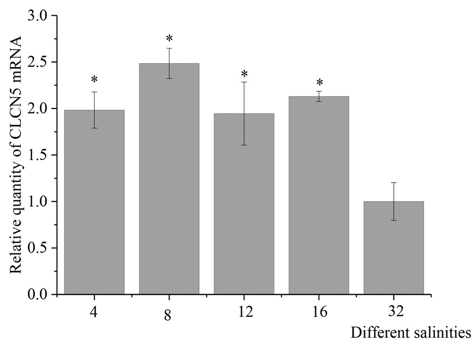 Fig. 6.