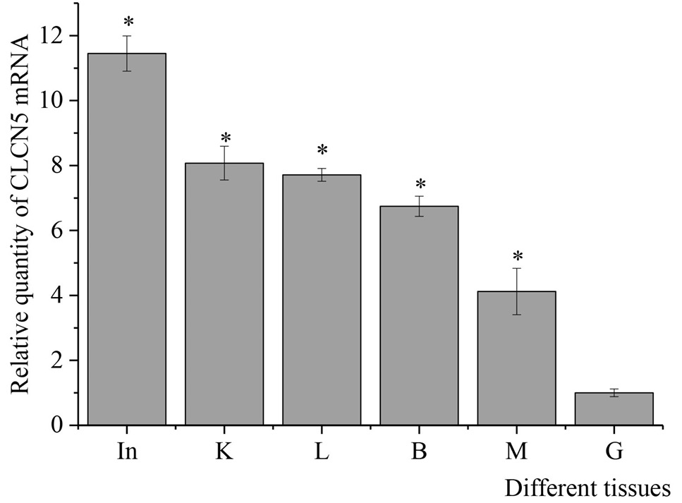 Fig. 4.