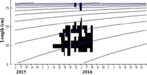 Fig. 4.