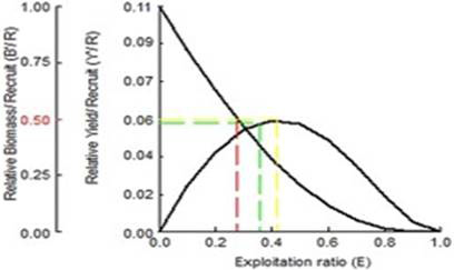 Fig. 8.