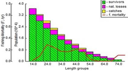 Fig. 7.