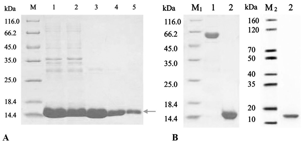 Fig. 8.