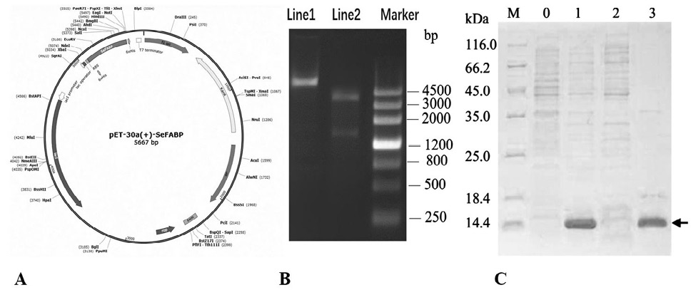 Fig. 7.