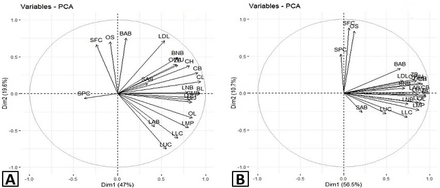 Fig. 7.