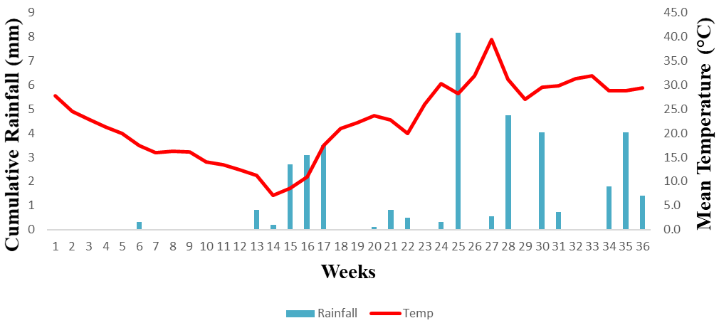 Figure 1: