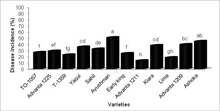 Figure 1: