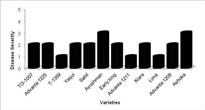 Figure 2: