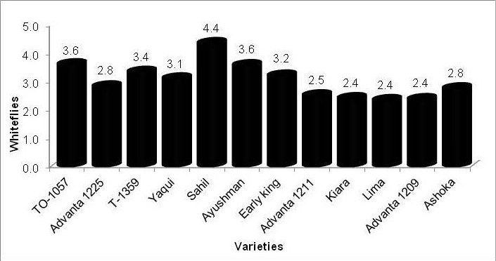 Figure 3: