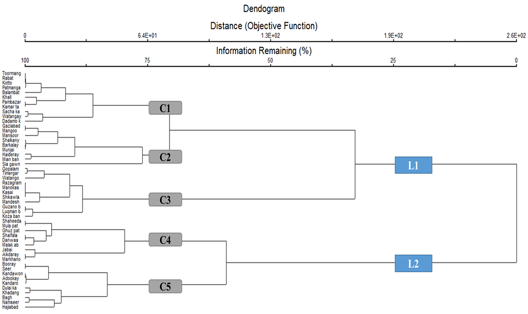 Figure 5:
