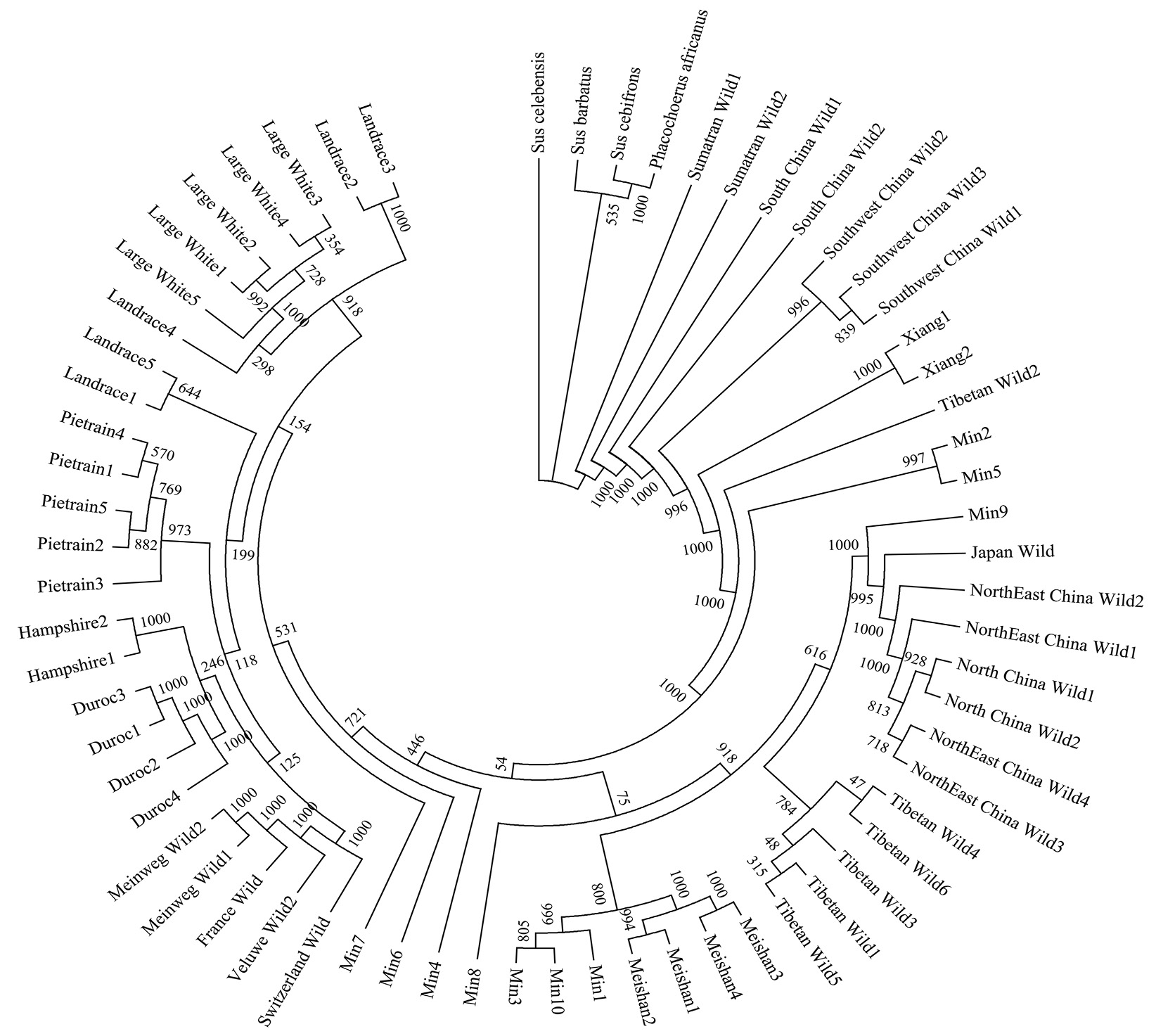 Fig. 2.