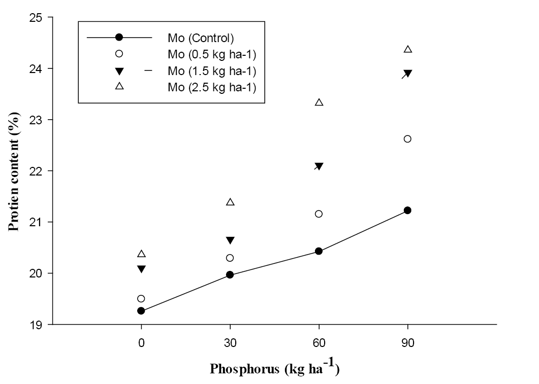 Figure 3: