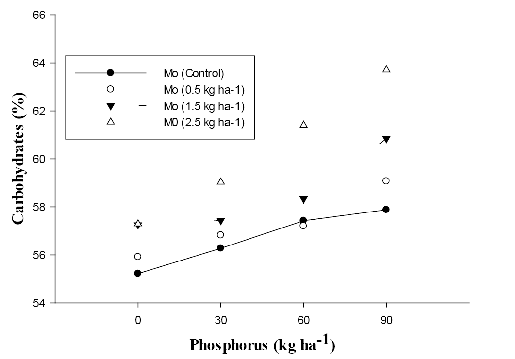 Figure 4: